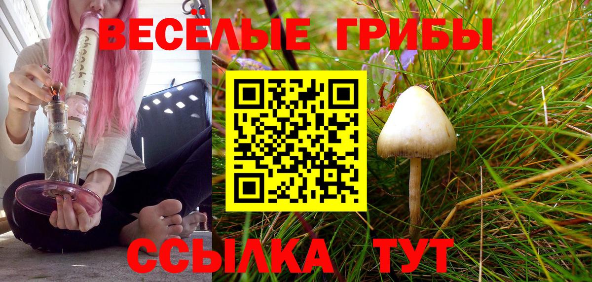 Псилоцибиновые грибы GOLDEN TEACHER  Вход с VPN  Симферополь 